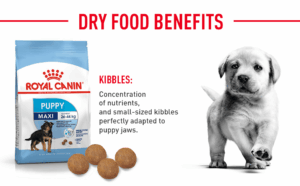 Royal Canin Dry Dog Food Maxi Puppy, Meat Flavour, 4 kg
