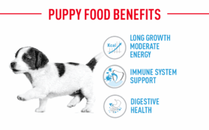 Royal Canin Dry Dog Food Maxi Puppy, Meat Flavour, 4 kg