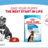 Royal Canin Maxi Puppy