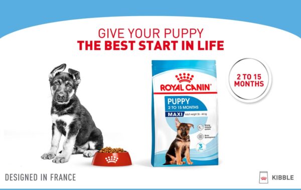 royal-canin-maxi-puppy-dry-dog-food-desktop-1 Royal Canin Maxi Puppy