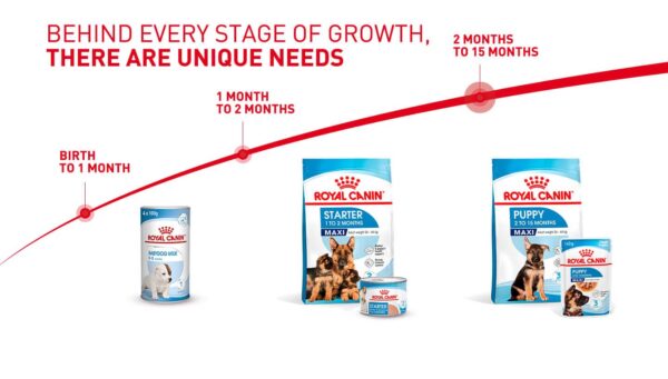 royal-canin-maxi-puppy-dry-dog-food-desktop-2 Royal Canin Maxi Puppy