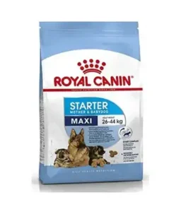 Royal Canin Maxi Starter Dog Food 4 Kg for Mother & Puppy Nutrition