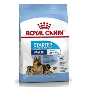 Royal Canin Maxi Starter Dog Food 4 Kg for Mother & Puppy Nutrition